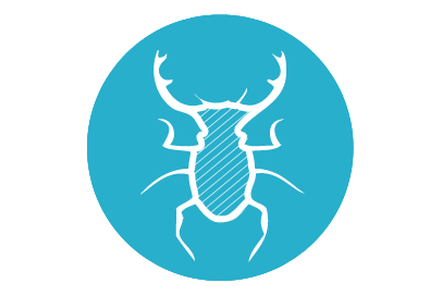 A passive wood house resistant to insects and rodents | PopUp House